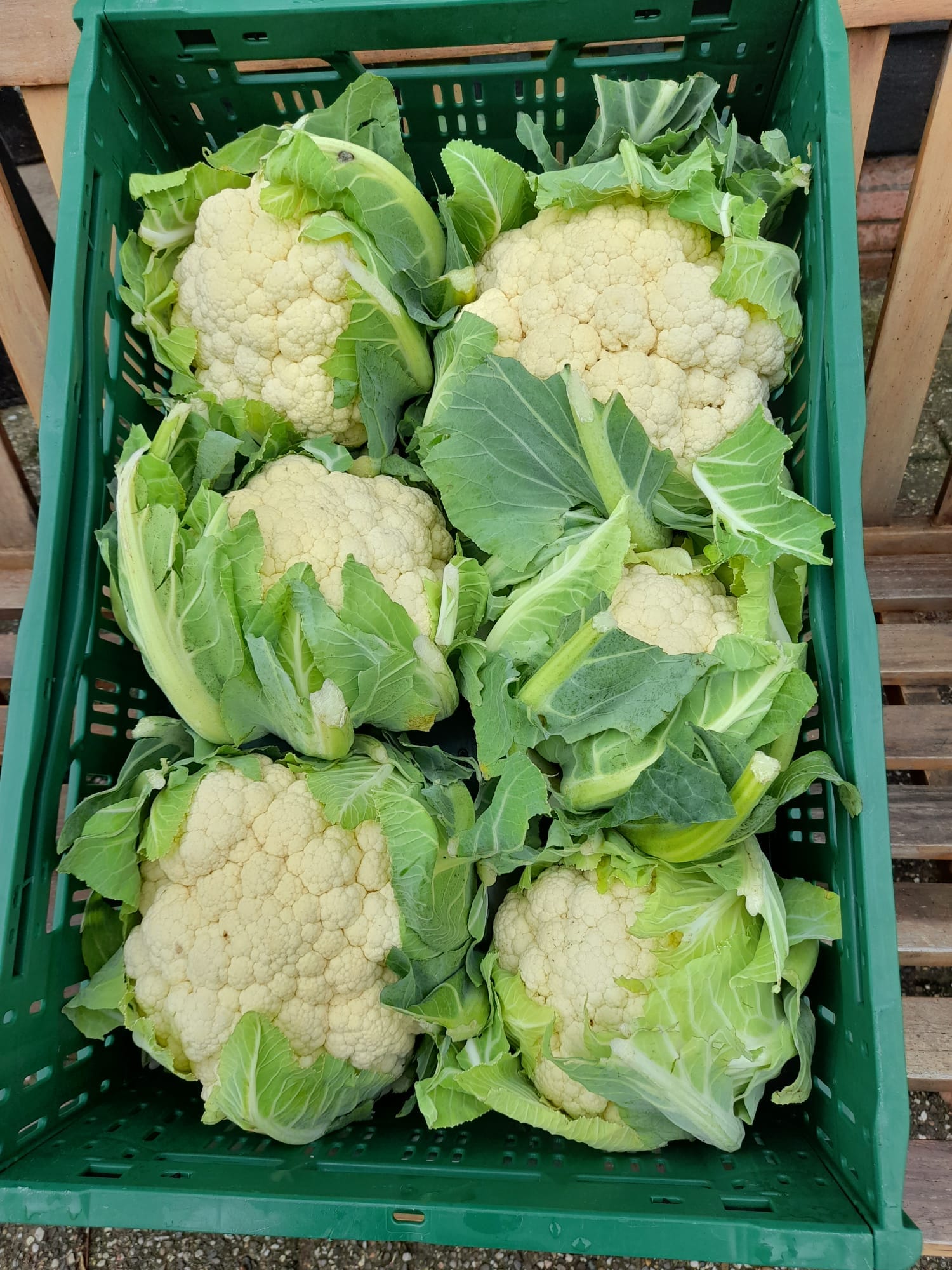 Actie bloemkolen bij Boerderijwinkel Lensink in Aalten